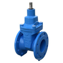 DIN3202 F4 Flanged Resilient Gate Valve with Bare Shaft, Non Rising Stem